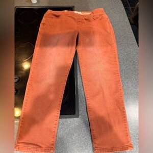 Soft Surroundings Terracotta Pants